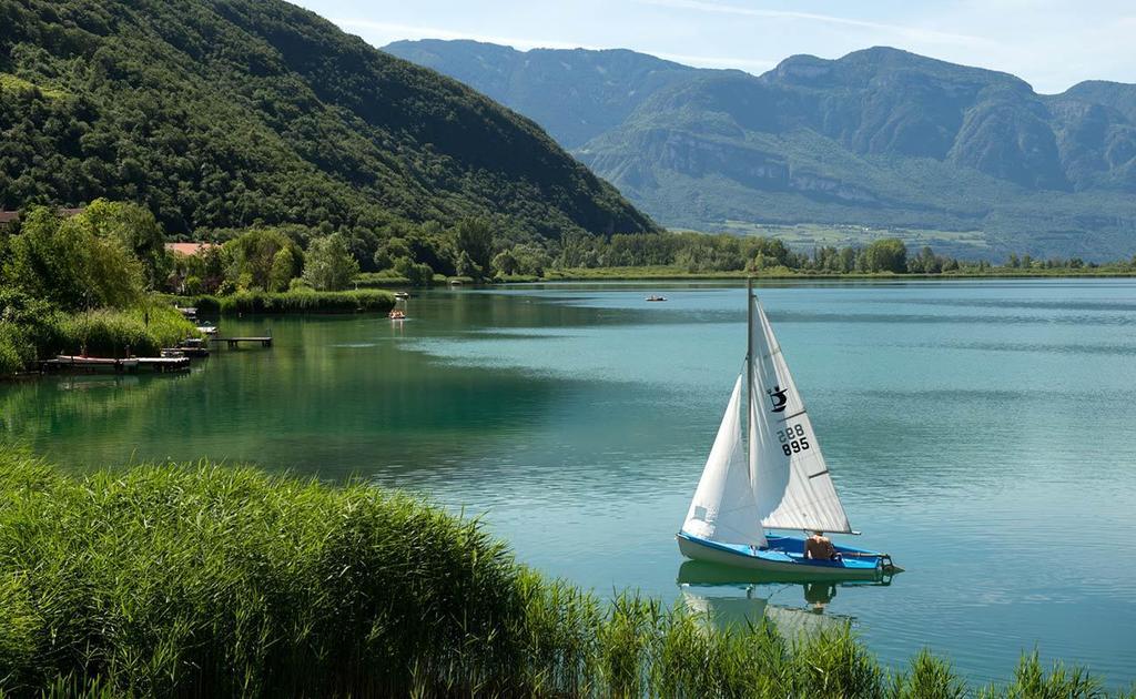 Residence Haus Kalterersee Caldaro Eksteriør billede
